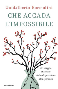 Che accada l'impossibile. Un viaggio interiore dalla disperazione alla speranza